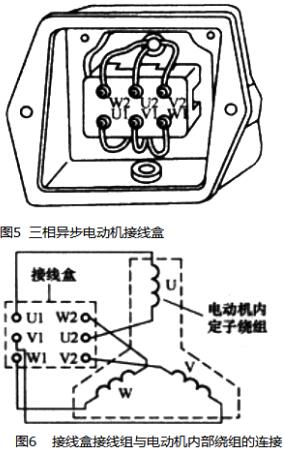 電動機(jī)原理與結(jié)構(gòu)圖,三相異步電動機(jī)